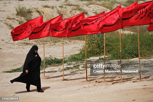 iranian muslim woman - velo foto e immagini stock
