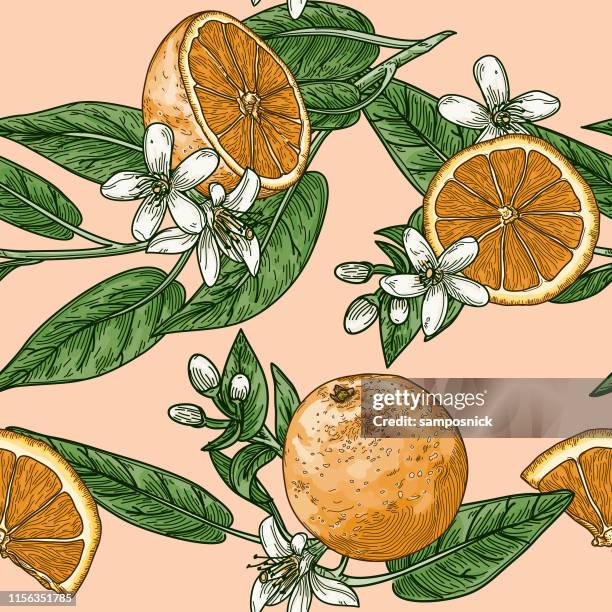 bildbanksillustrationer, clip art samt tecknat material och ikoner med citrus och apelsin blomma vintage retro stil sömlösa mönster - apelsin
