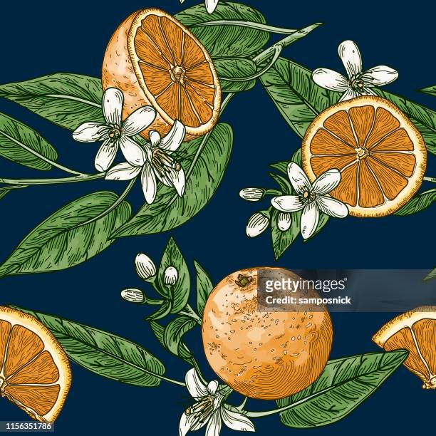 ilustrações, clipart, desenhos animados e ícones de teste padrão sem emenda do estilo retro do vintage do citrino e da flor alaranjada - citrus fruit