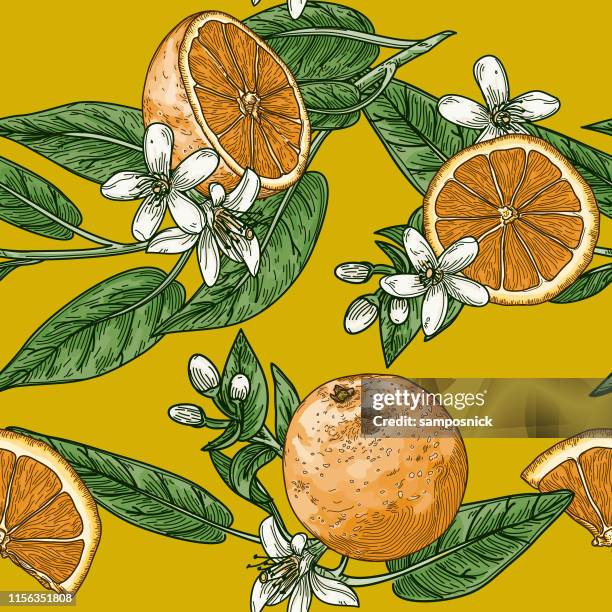citrus and orange blossom vintage retro style seamless pattern - orange tree isolated stock illustrations