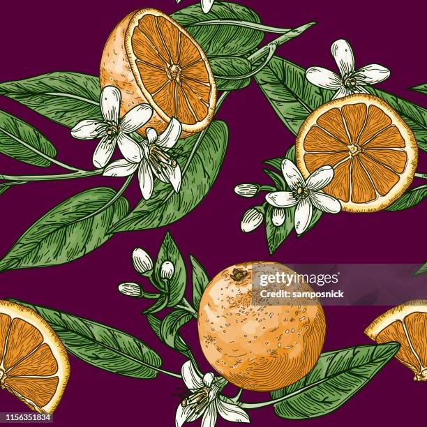 citrus and orange blossom vintage retro style seamless pattern - orange tree isolated stock illustrations