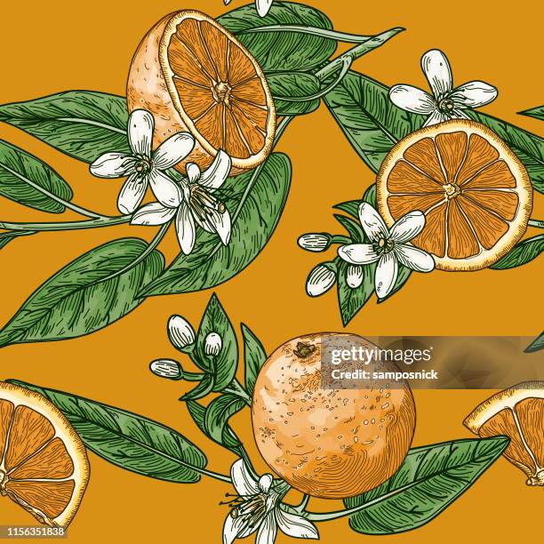 citrus and orange blossom vintage retro style seamless pattern - orange blossom stock illustrations
