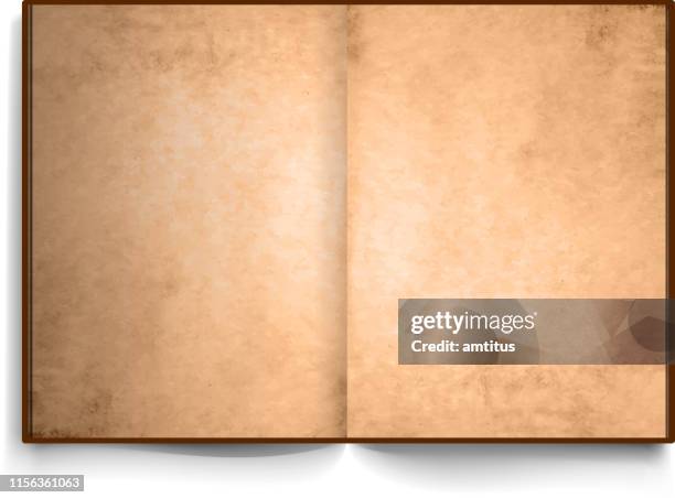 ilustraciones, imágenes clip art, dibujos animados e iconos de stock de a4 libro abierto vintage - sección del medio