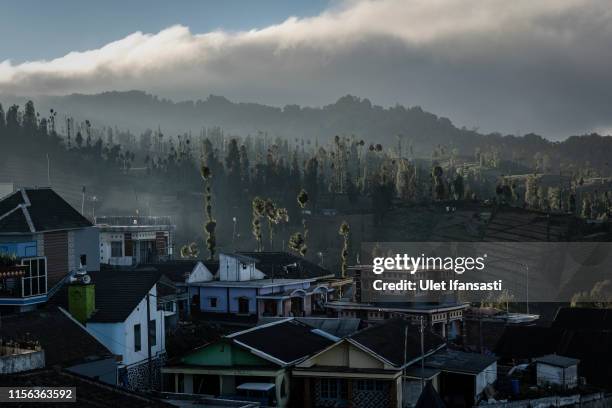 View of Ngadas village in Bromo Tengger Semeru National Park 15, 2019 in Malang, East Java, Indonesia. Tenggerese people are a Javanese ethnic group...