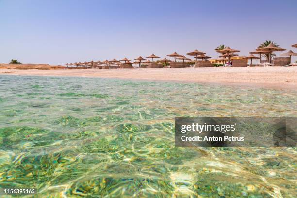 the beach with clear water in egypt. coast of the red sea. summer holiday - marsa alam stock pictures, royalty-free photos & images