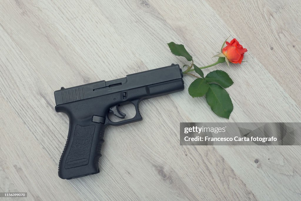 Flower and gun