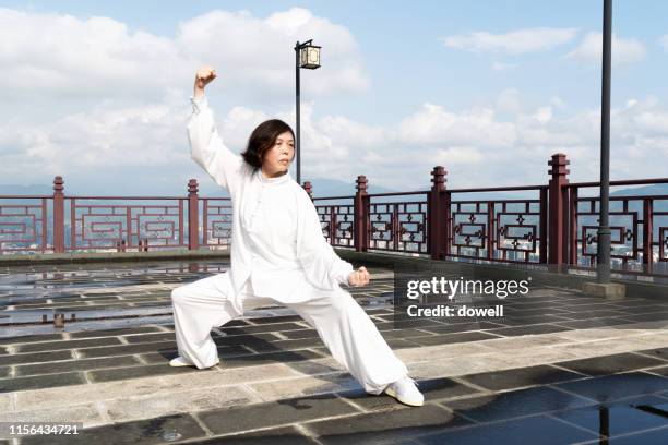 aisan woman  practicing tai chi - taijiquan foto e immagini stock