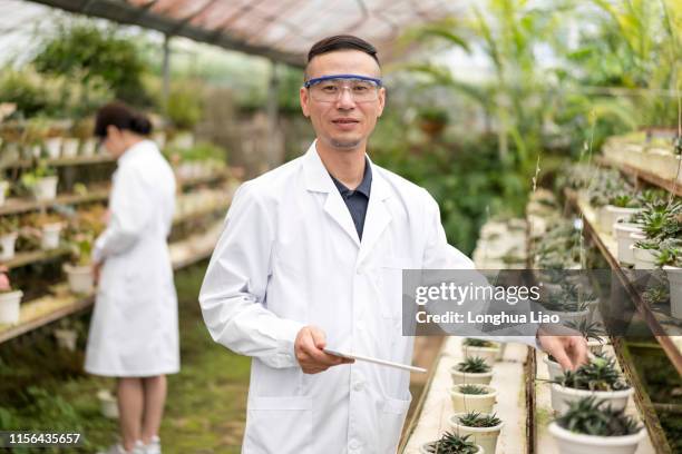 a male asian scientist in a greenhouse - biologist stock pictures, royalty-free photos & images