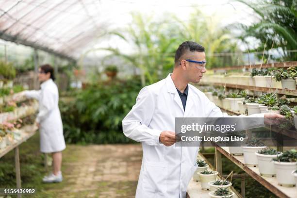 a male asian scientist in a greenhouse - botanist stockfoto's en -beelden