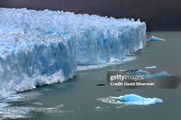 Broken ice floats in Lake Argentina below the cracked and creviced face of the Perito Moreno glacier, part of the Southern Patagonian Ice Field, in...