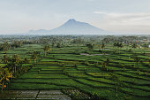 Scenic aerial view of Merapi volcano on Java