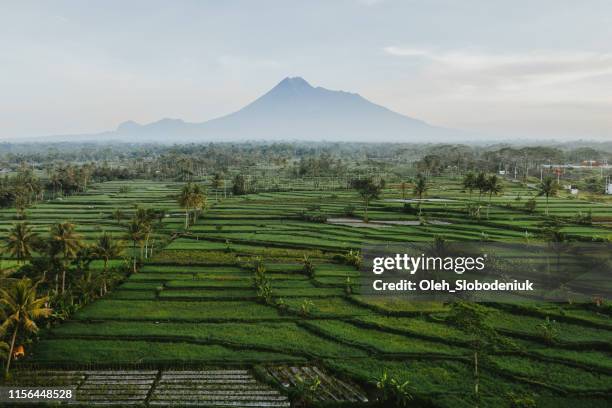 scenic aerial view of merapi volcano on java - java stock pictures, royalty-free photos & images