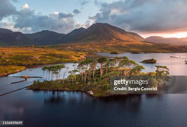 pine island connemara, drone shot - connemara stock pictures, royalty-free photos & images