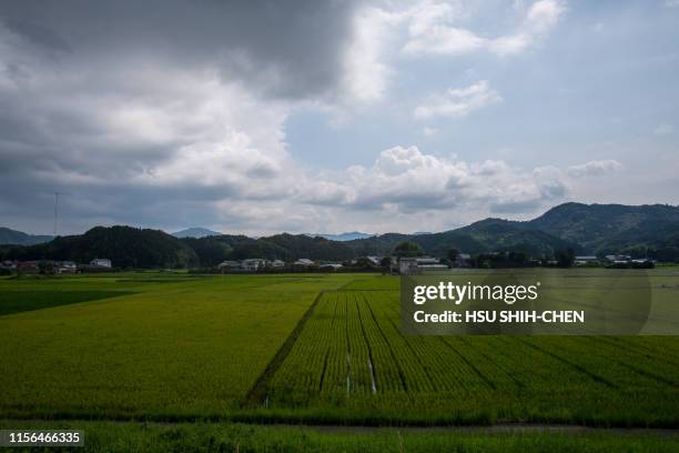 rice fields and cloudy days - kochi japan stock pictures, royalty-free photos & images