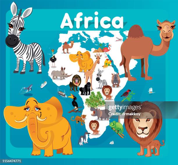 africa animals - rhinoceros hornbill stock illustrations