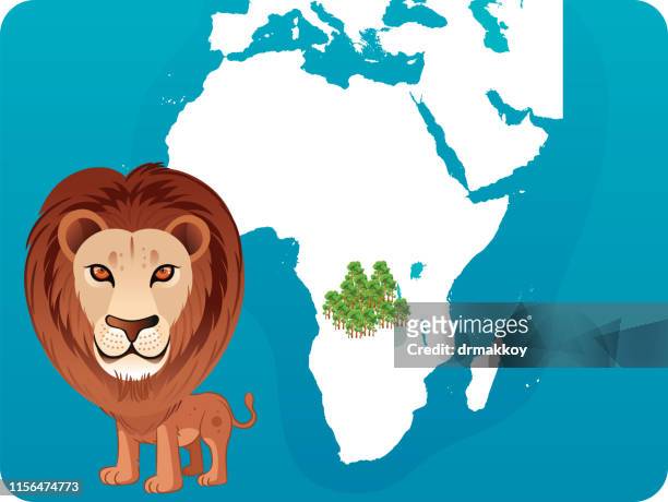 africa lion - african savanna map stock illustrations