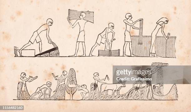 hieroglyphics of egypt farmers milling cutting millet working the field - ancient egypt stock illustrations