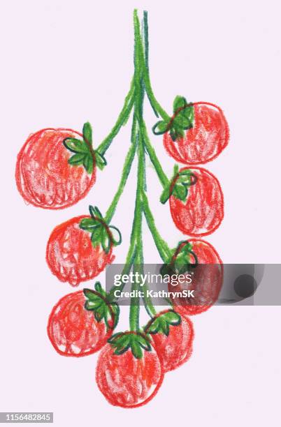 cherry tomatoes drawing - cherry tomatoes stock illustrations