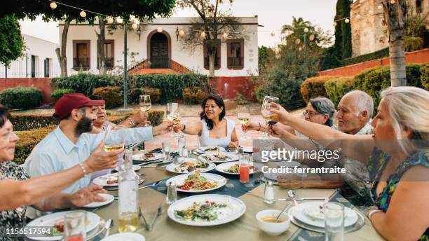 senior friends at garden party reunion - méxico stock pictures, royalty-free photos & images