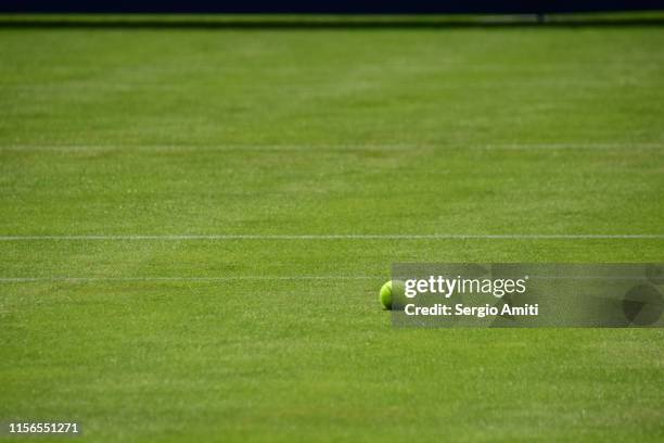 tennis ball on grass court - grass court stock-fotos und bilder