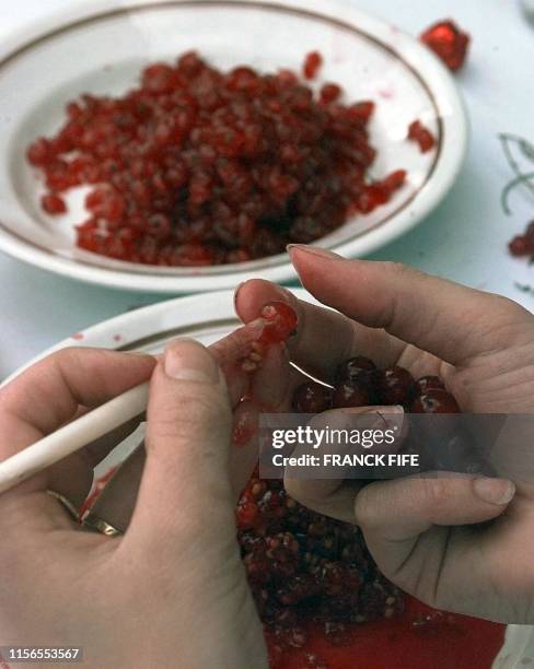 Une participante procède, le 06 septembre à Bar-le-Duc, à l'épépinage de groseilles à la plume d'oie lors du 2e Championnat du monde, dont la...