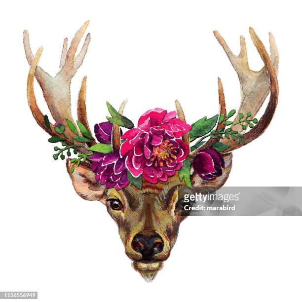 deer boho style flowers stipple effect - peony stock illustrations