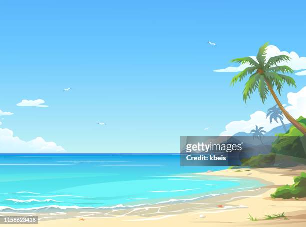illustrazioni stock, clip art, cartoni animati e icone di tendenza di bellissima spiaggia - clima tropicale