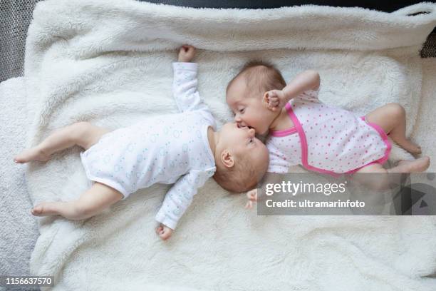 newborn twins baby - twin boys stock pictures, royalty-free photos & images