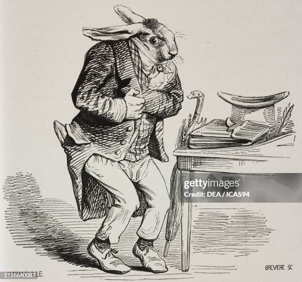 47 Humanized Rabbit Stock Photos, High-Res Pictures, and Images - Getty ...