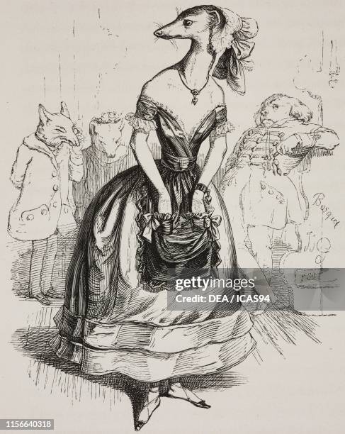 Outside the theatre these animals are even uglier', a weasel dressed as a great lady, humanized animals, engraving from a drawing by Grandville, from...
