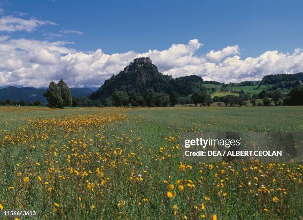 View of Hochosterwitz Castle, meadow with yellow flowers in the foreground, Carinthia, Austria, 9th-16th century.