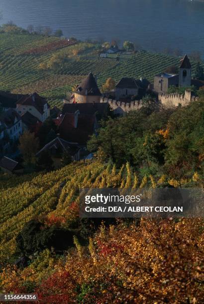 Walls of Durnstein amongst vineyards, autumn landscape, Wachau , Lower Austria, Austria.