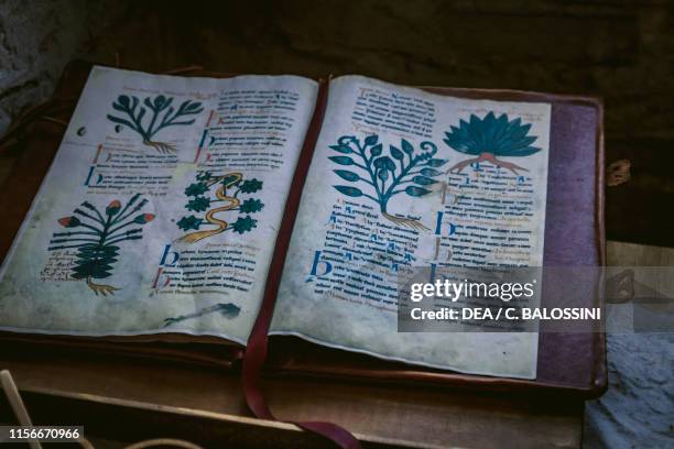 Medieval herbarium dedicated to the use of medicinal plants to treat diseases, Pallavicino Castle, Varano de' Melegari, Parma, Italy, 13th century....