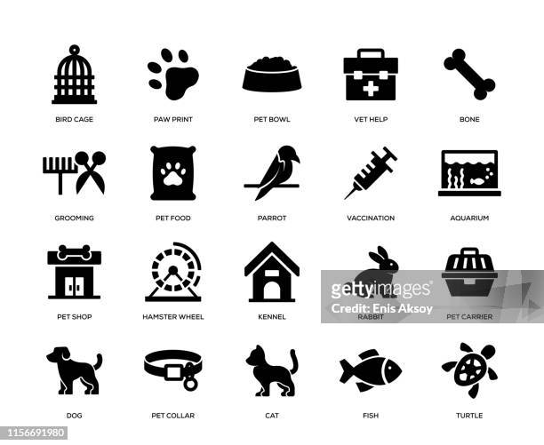 ilustraciones, imágenes clip art, dibujos animados e iconos de stock de conjunto de iconos de mascotas - grooming