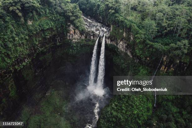vista aérea cénico da cachoeira de madakaripura em java - desfiladeiro - fotografias e filmes do acervo