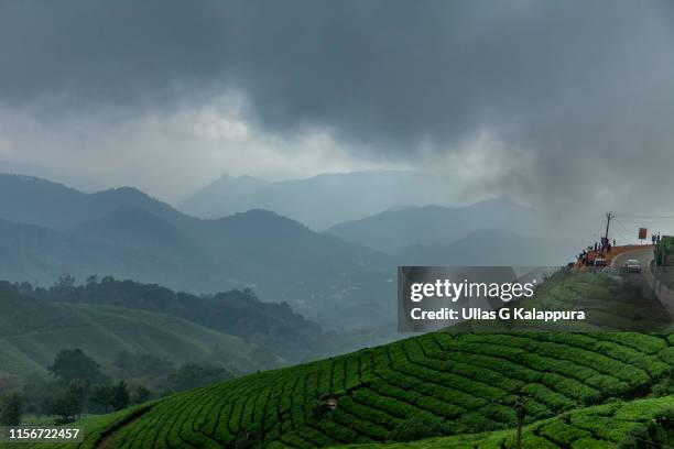 view of mountains and tea estate from pallivasal, munnar, india - kerala rain fotografías e imágenes de stock
