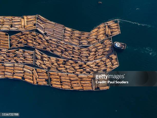 Aerial View of Log Boom, British Columbia, Canada