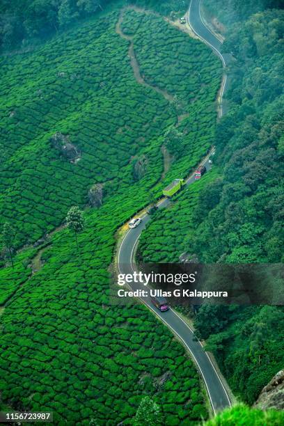 winding road through serene munnar tea plantations in india - munnar photos et images de collection