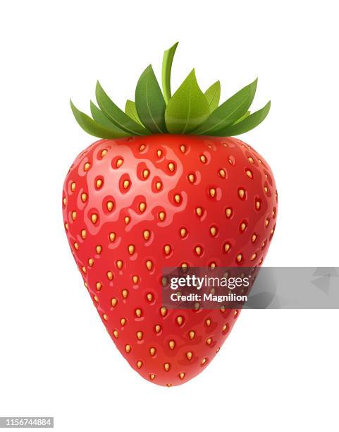 strawberry vector illustration - ripe stock illustrations