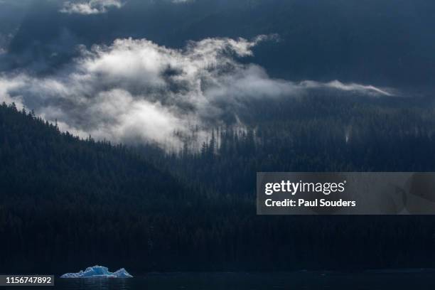 iceberg and mist-covered forest in tracy arm, juneau, alaska - holkham bay alaska stock pictures, royalty-free photos & images