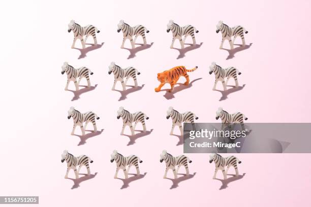a toy tiger in a crowd of zebras - stand out in the crowd stock pictures, royalty-free photos & images