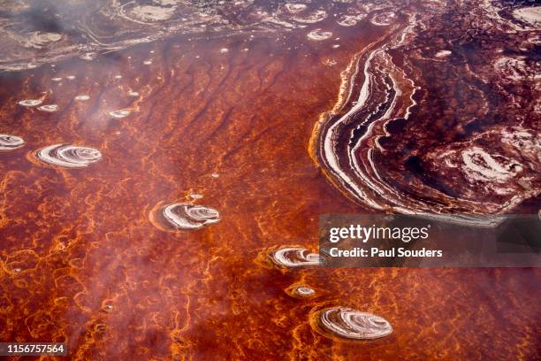 aerial view of lake natron, tanzania, africa - lago natron foto e immagini stock