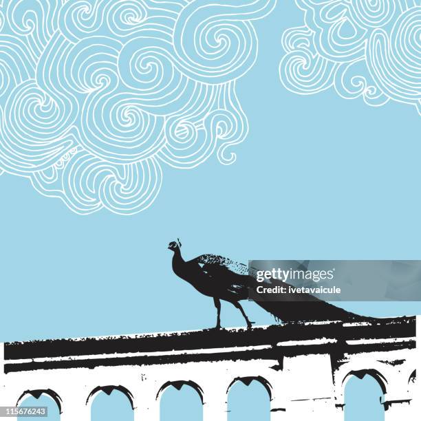 peacock on the wall - peacock stock illustrations