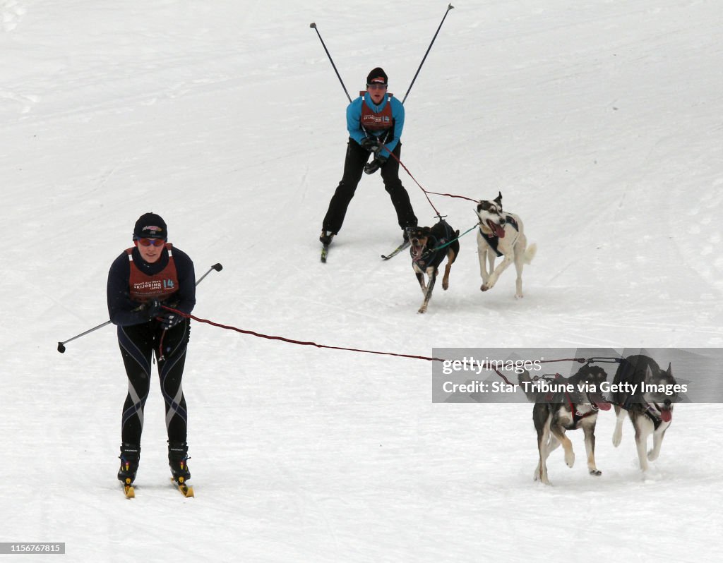The dog skijoring race at Wirth Park as part of the Minneapolis Park Board sponsored Loppet activites. Skiers and their dogs made their way down the hills of Wirth Park. (MARLIN LEVISON/STARTRIBUNE(mlevison@startribune.com (cq - all names program)