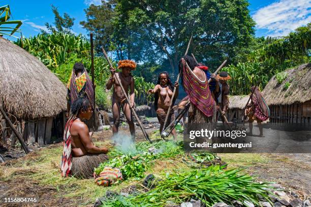 people of the dani tribe preparing pig feast, west-papua - west papua stock pictures, royalty-free photos & images