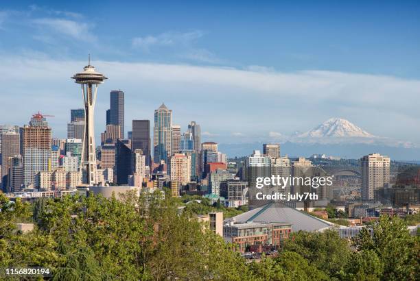 summer seattle - mount rainier stock pictures, royalty-free photos & images