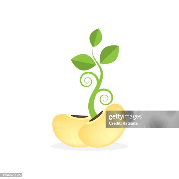 plant seeds icon - seed sprouting stock illustrations