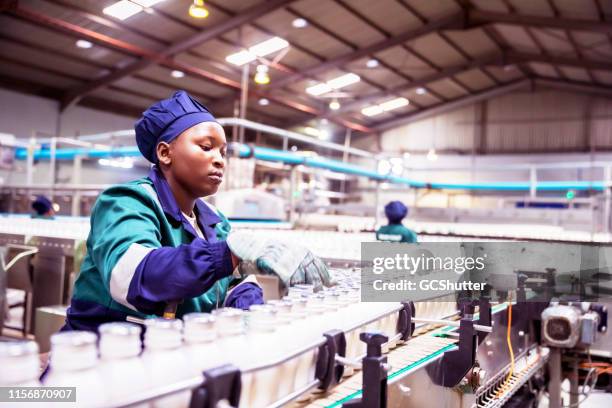 trabalhador da linha de produção fêmea em uma fábrica da leiteria em áfrica - laticínio - fotografias e filmes do acervo