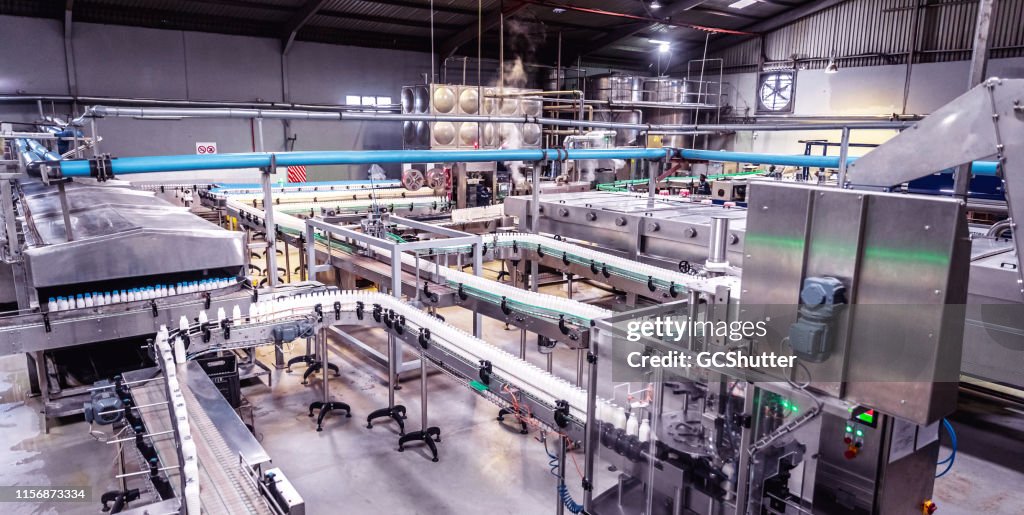 Dairy Factory in Africa