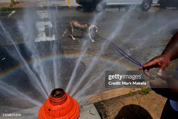 As a rainbow forms, Malik Bey leads guides Moose, a English Bulldog puppy, through a spraying fire hydrant on July 20, 2019 in Philadelphia, PA. With...